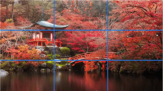 Photo with grid lines showing rule of thirds