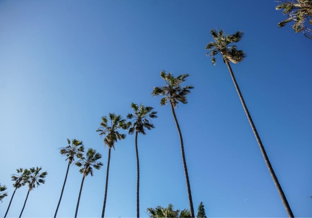 Sky's the limit