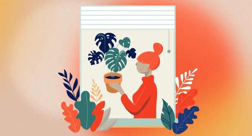 How to create a website: A complete guide