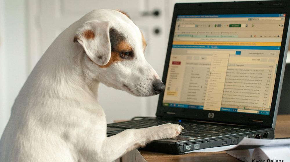 Integrate Email With Social Media