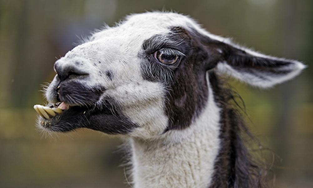 create an email newsletter