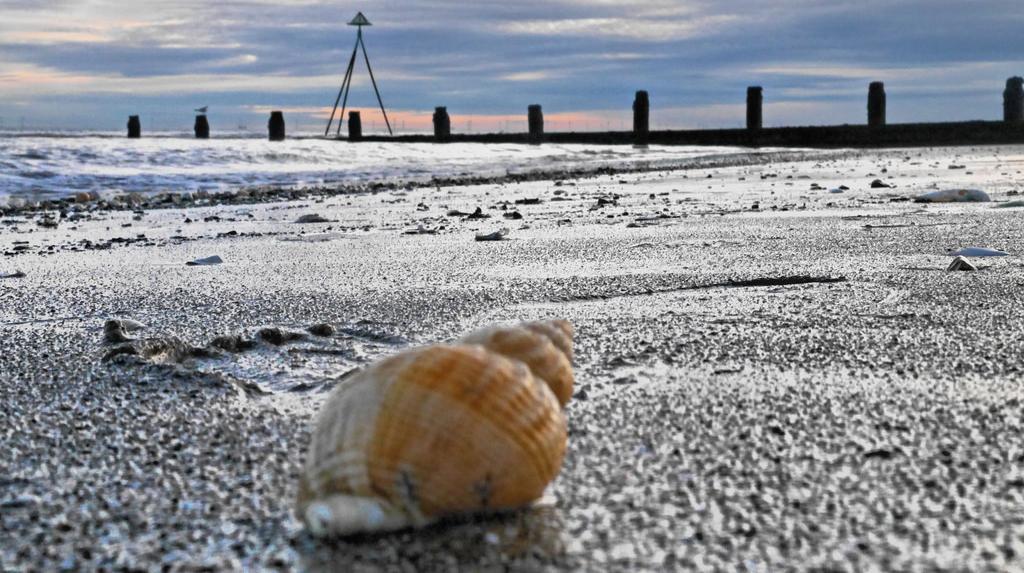 what makes me unique