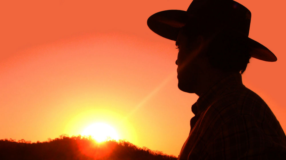 cowboy staring into sunset