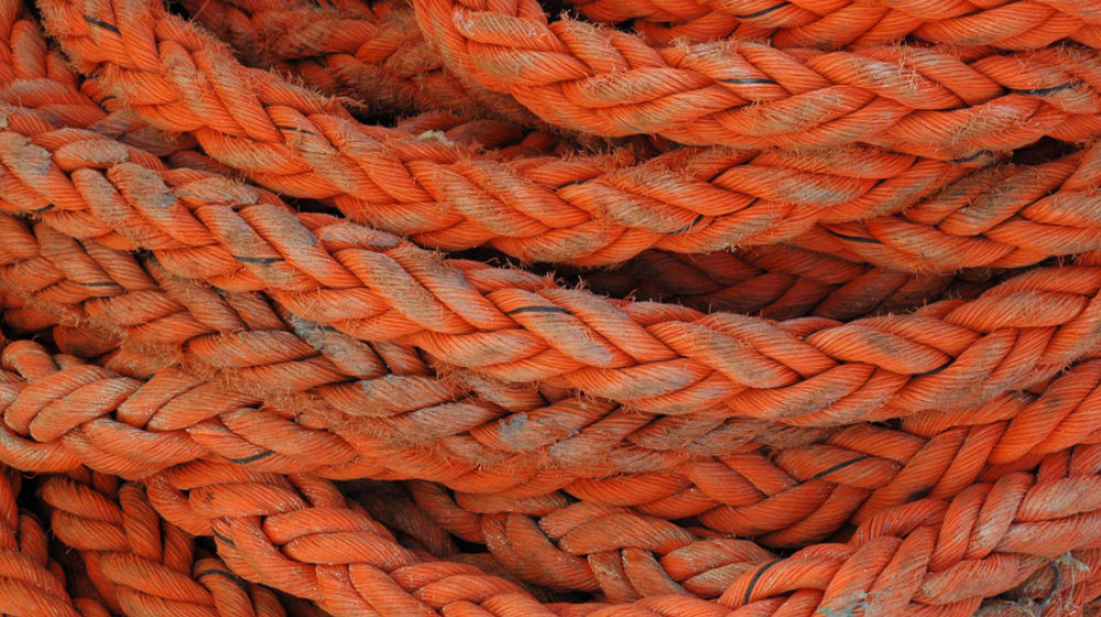 multiple strands of rope