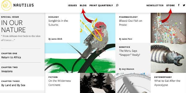 Nautilus website with blog and store