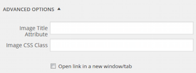 Image Entry Advanced Options