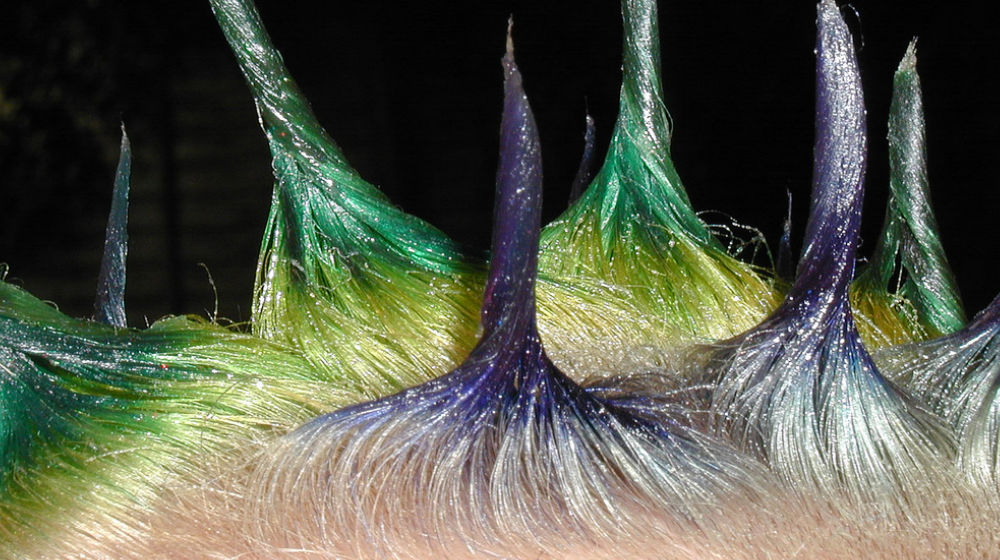 crazy different colored hair