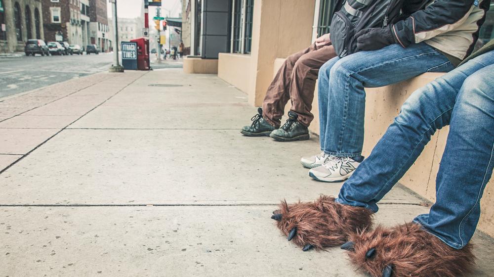 crazy bear paw slippers to represent putting best foot forward (aka forward domains)