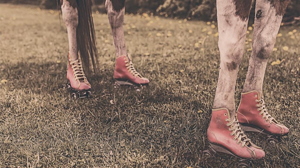 cow legs with roller skates to represent focusing on solutions when you write blog posts