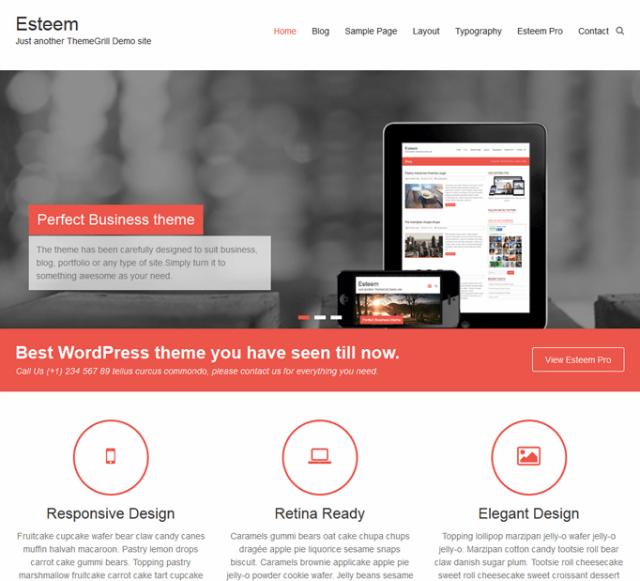 Esteem WordPress theme