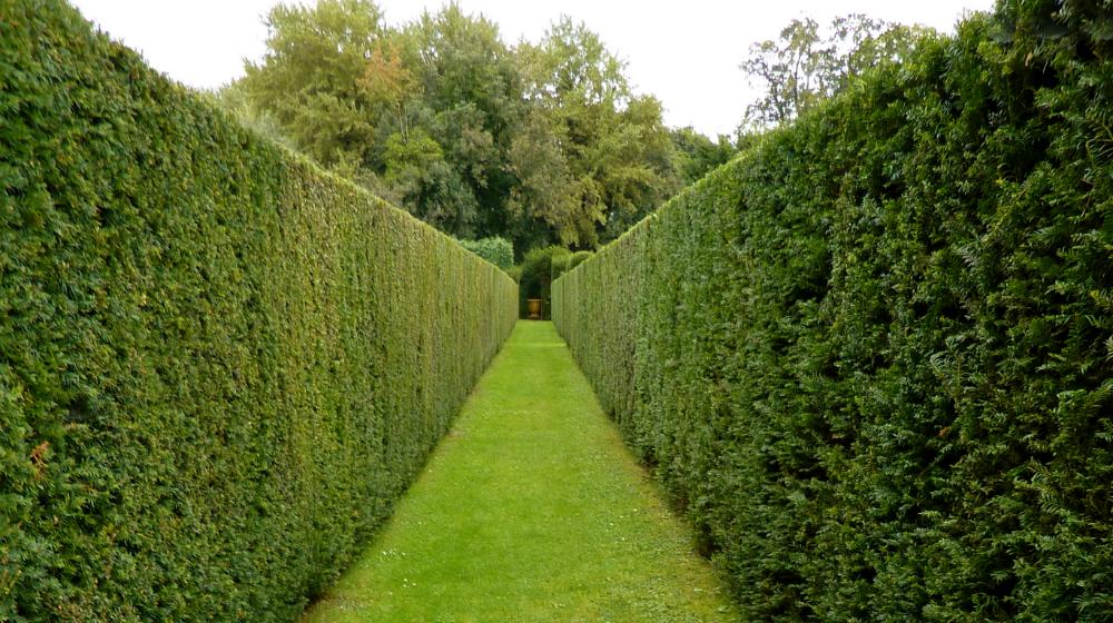 Clear path representing easy path to restarting Apache