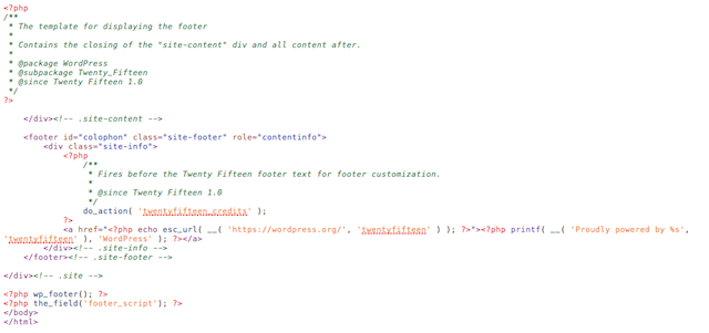 WordPress Template Source Code for Footer Script