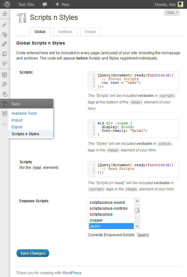 Global Settings for the Scripts and Styles JavaScript Plugin for WordPress