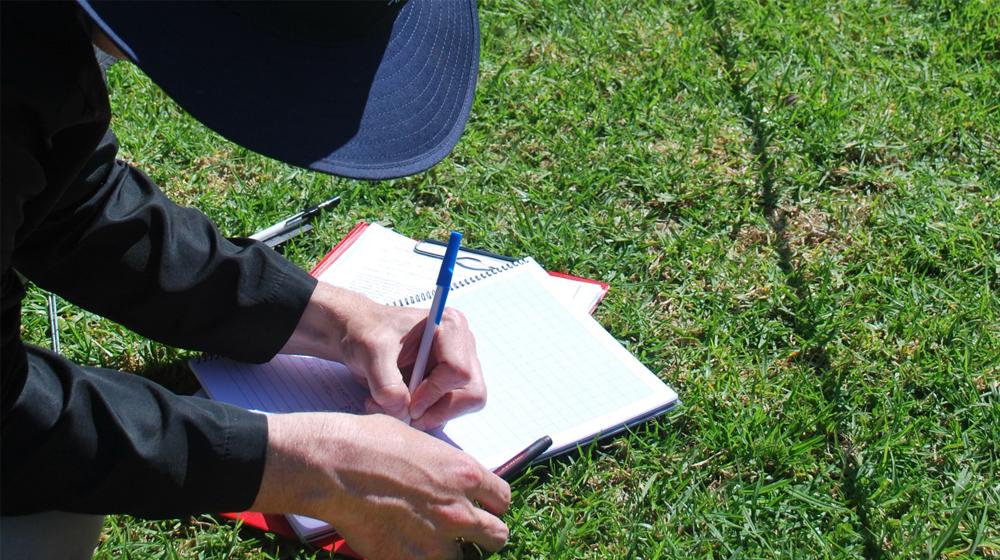 Man drawing plan to represent wordpress forms