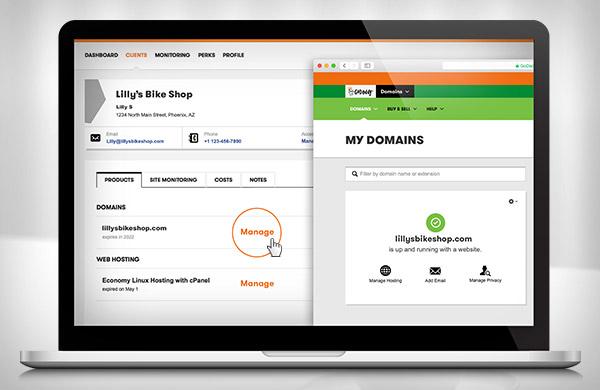 GoDaddy Pro Account Management