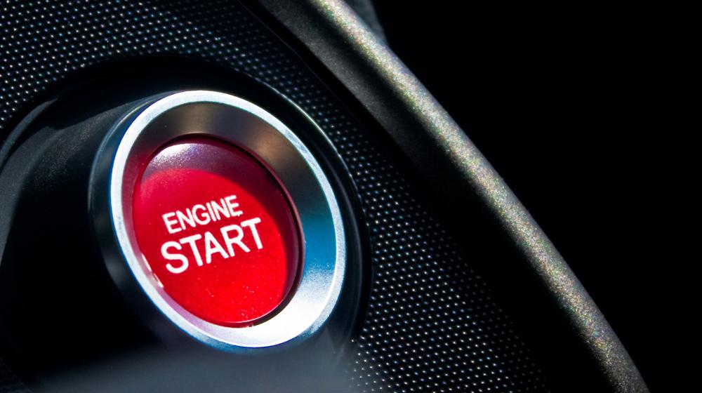 Start Using WP REST API