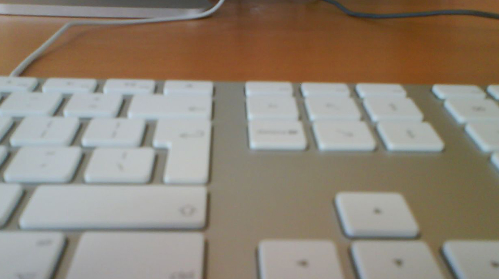 WordPress REST API