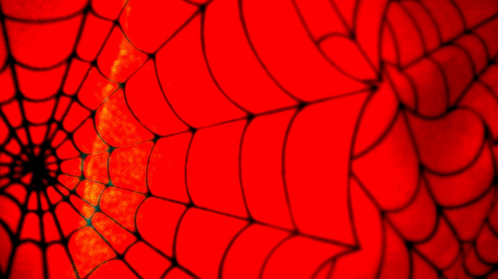 Beginner’s guide to working with APIs - GoDaddy Blog