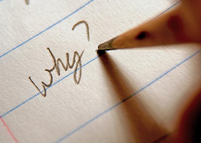 Why Use WordPress for Business