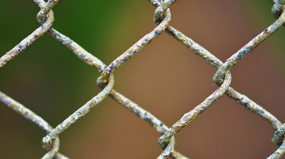 Domain Security