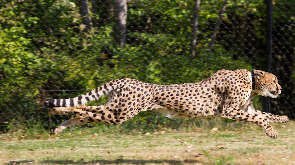 Speed Up Drupal 8