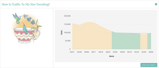 Website Traffic Report