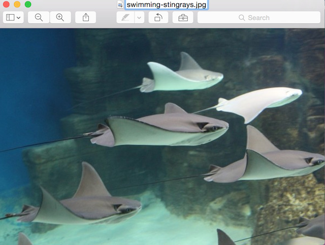 Freelance Designers Naming Files