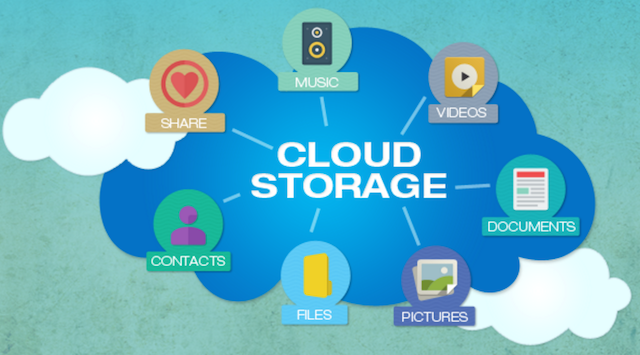 .cloud Domain Storage