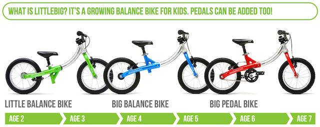 eCommerce Success LittleBig Bikes