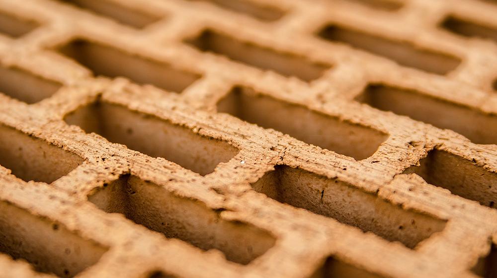 Advanced Custom Fields