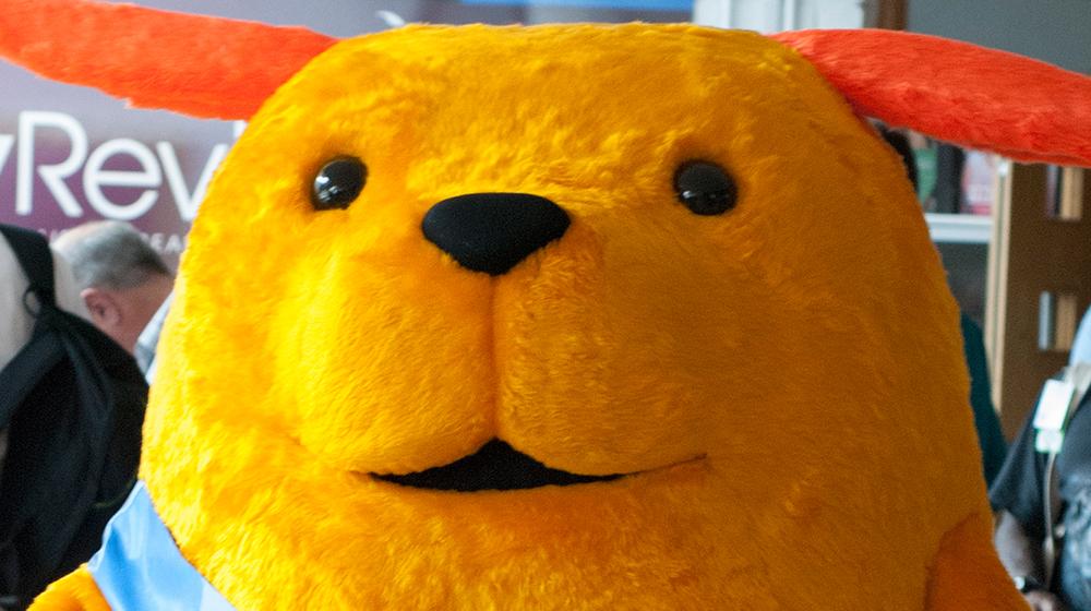 Wapuu Collector Pins