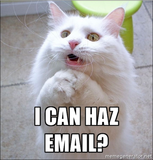 Business Email Etiquette Permission