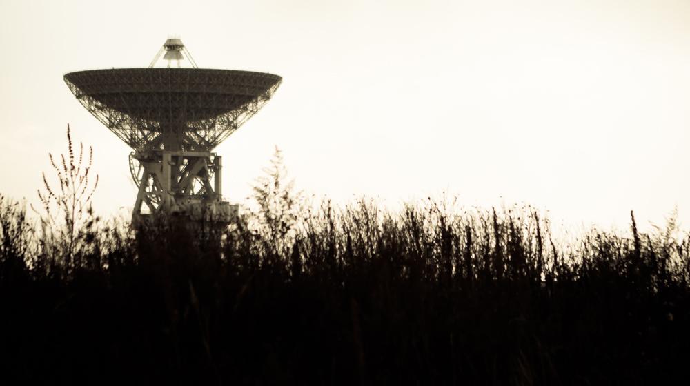 Millennial Consumer Behavior Comms Tower