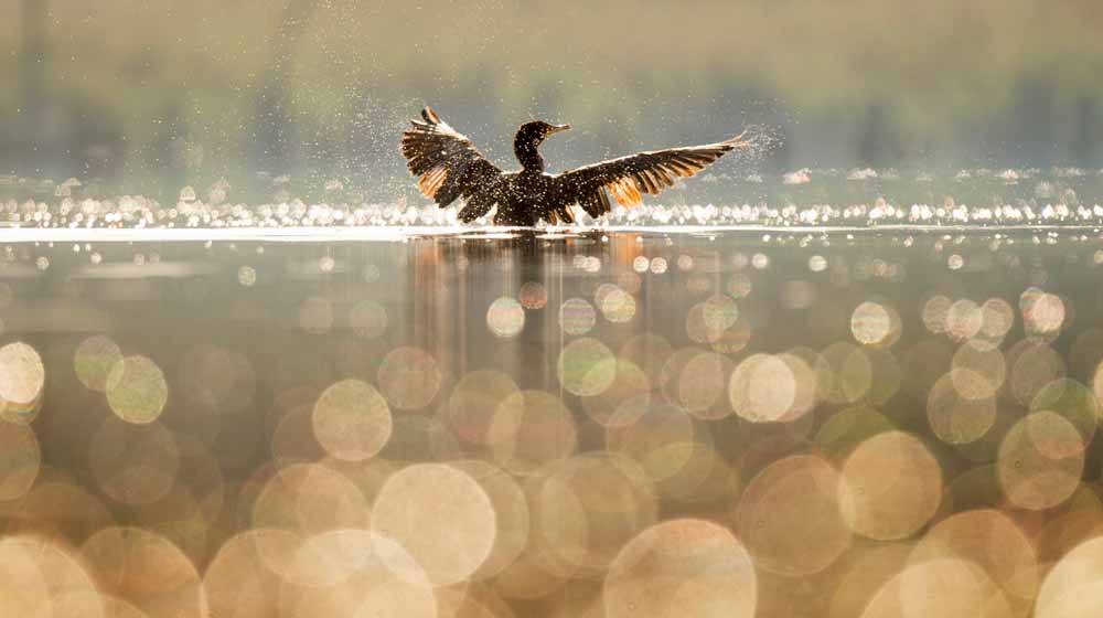 Small Business Funding Take Flight
