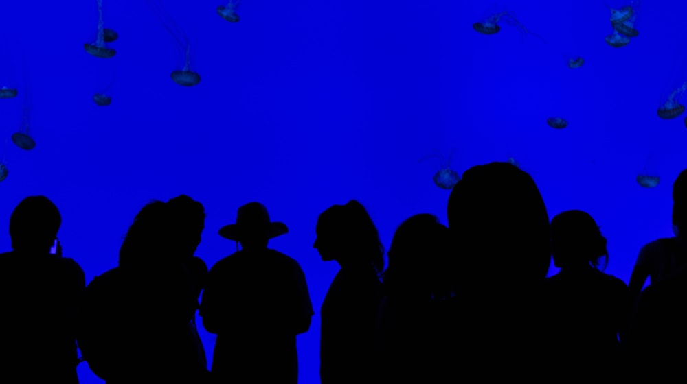 Shadows of people on blue background