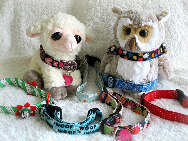 Social Media Marketing for Pet Stores Collars