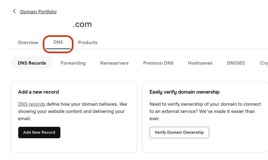GoDaddy’s DNS Manager