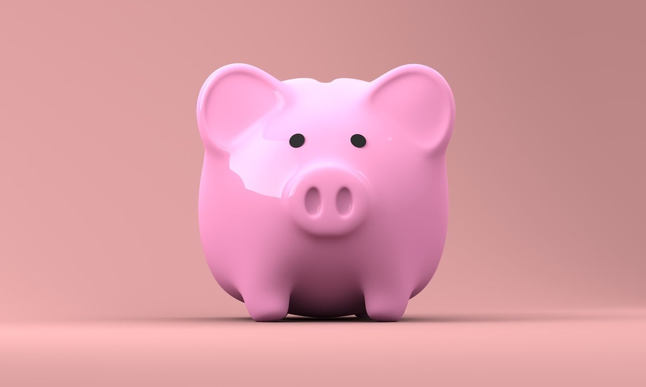 A Close-up of a Pink Piggy Bank