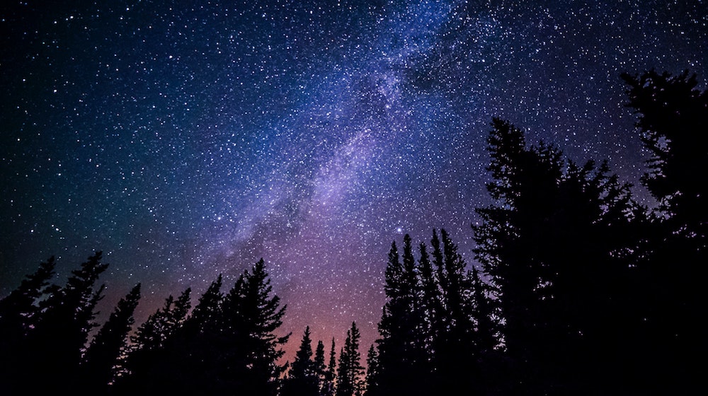 Starry Night in Forest