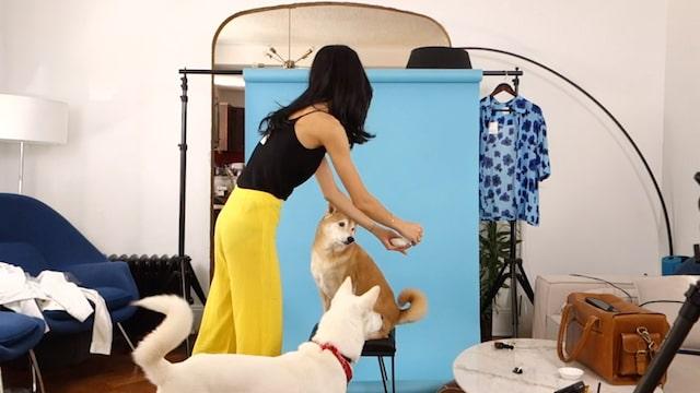 Woman Doing Photoshoot with Dogs