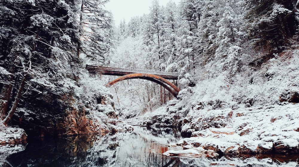 Bridge over snowy river in forest