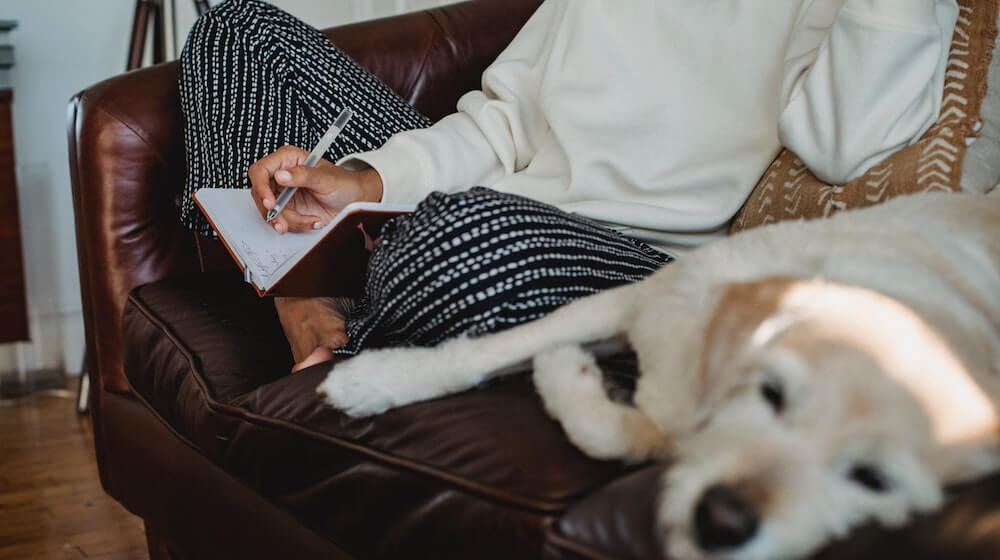 woman sitting on couch with dog taking notes