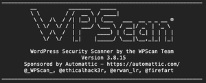 How to Use WP Scan