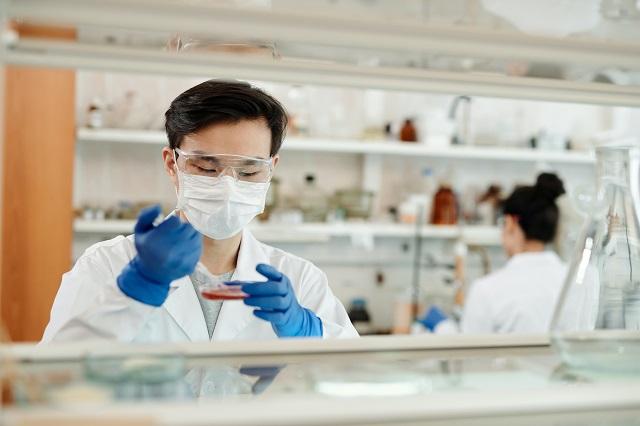 Scientist working with pietri dish