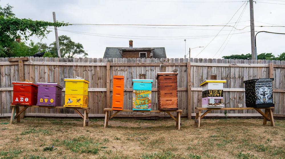 Row of colorful beehives in a city setting