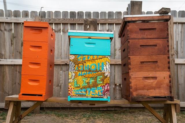 Three city beehives on a wooden sawhorse