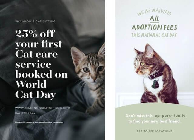 GoDaddy Studio template celebrating cat day