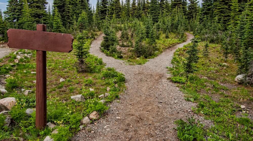 Path diverging in a forest