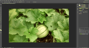 Image Optimization for WordPress with Gimp