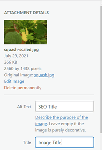Image HTML Attributes